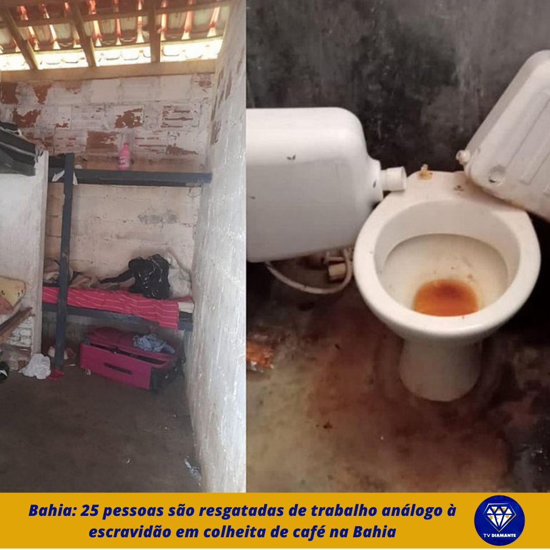 25 pessoas são resgatadas de trabalho análogo à escravidão em colheita de café na Bahia